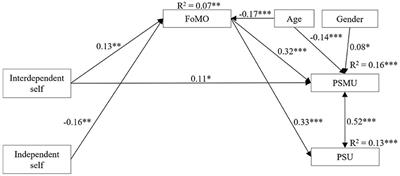 Problematic Smartphone Use and Problematic Social Media Use: The Predictive Role of Self-Construal and the Mediating Effect of Fear Missing Out